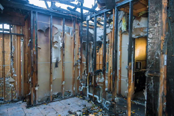 Professional Fire Damage Assessment technician working in Dresser, WI