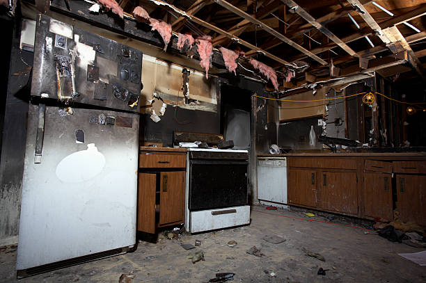Licensed Fire Damage Assessment service in Dresser, WI - Fire Damage Doption